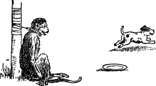 猴子和狗的年份图片下载