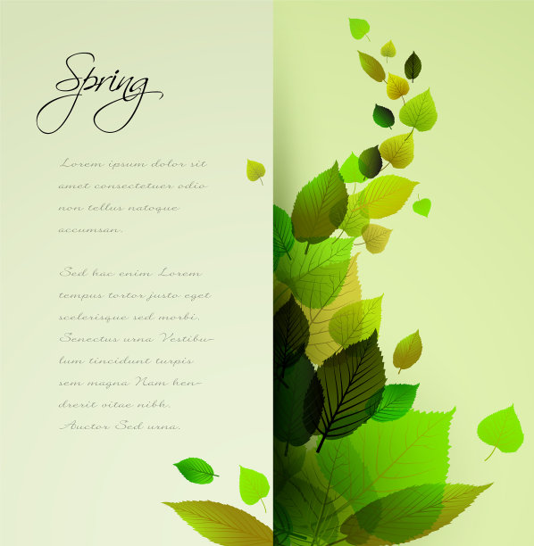 春季抽象花卉背景图片下载