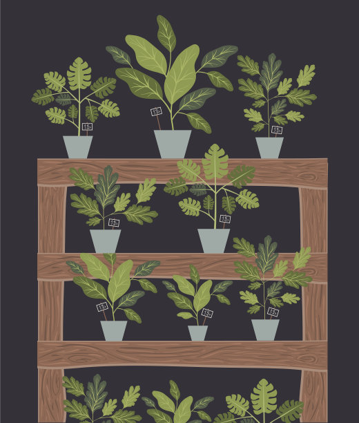 架子木装饰室内植物图片下载