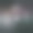 mesh-background-round图片下载