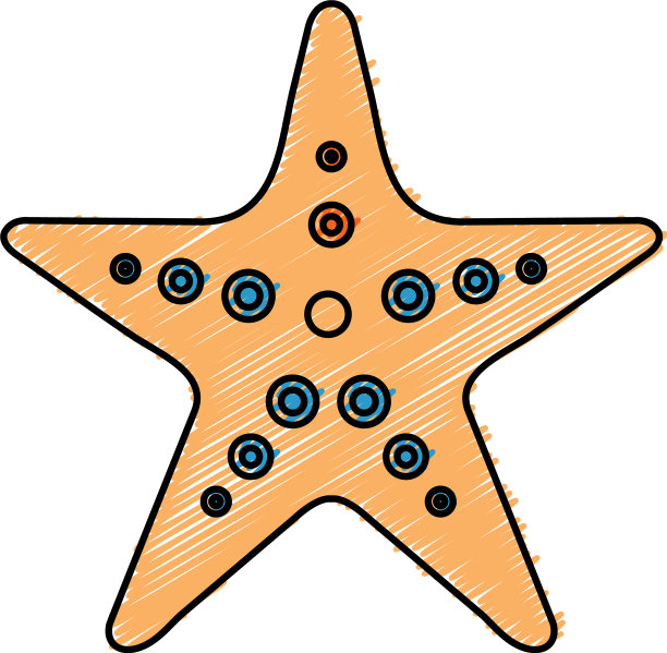 海星是热带夏季的标志图片下载