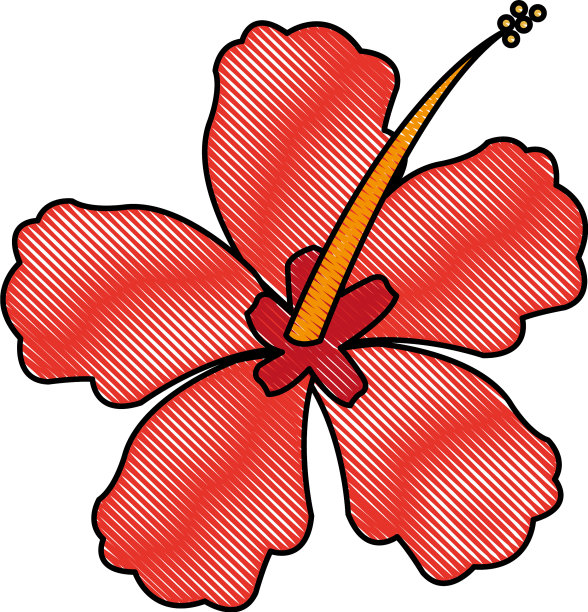 色彩模糊的条纹意象与月季花图片下载