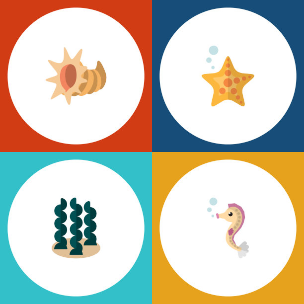 平图标自然海星海贝套图片下载