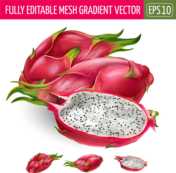 白底火龙果图片下载