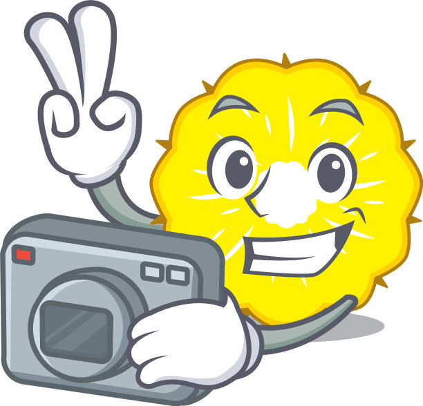 摄影师将菠萝切片水果隔离上图片下载