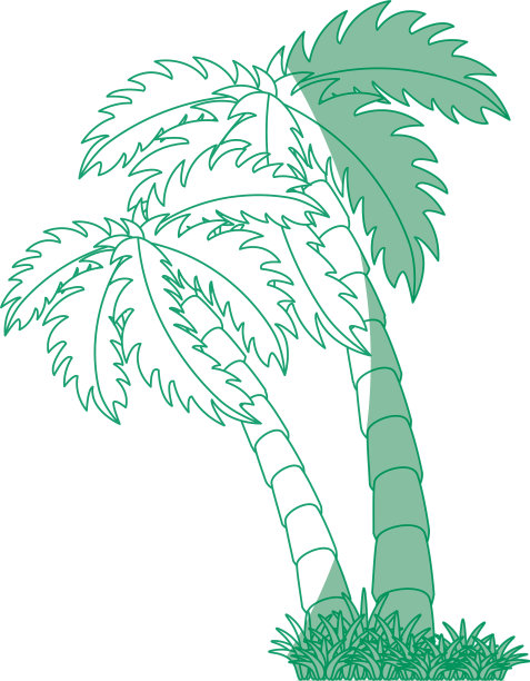 热带棕榈设计图片下载
