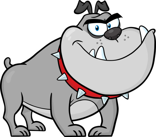 愤怒的牛头犬性格灰色图片下载