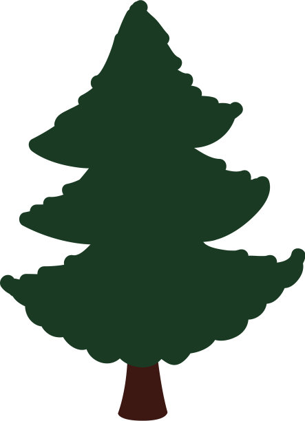 美丽的树隔离图片下载