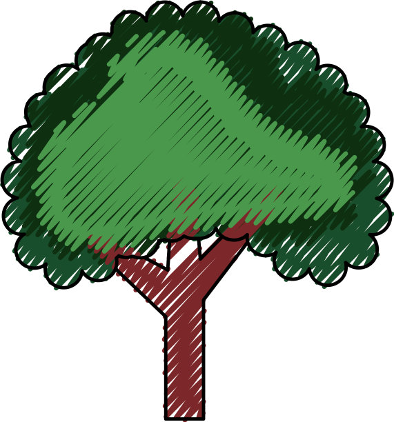 美丽的树隔离图片下载