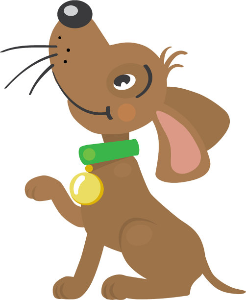 有趣的小狗或小狗图片下载