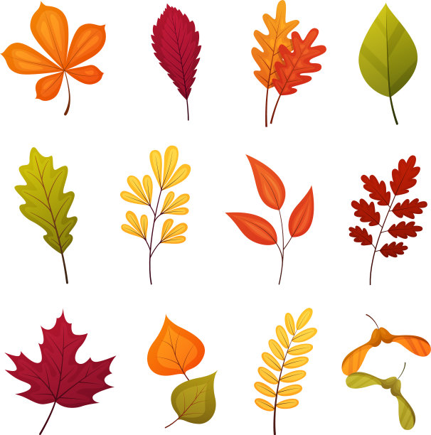 秋叶集图片下载