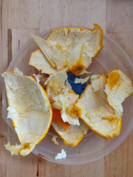 橘子皮图片下载