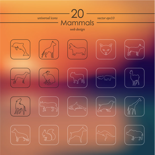 哺乳动物图标集图片下载