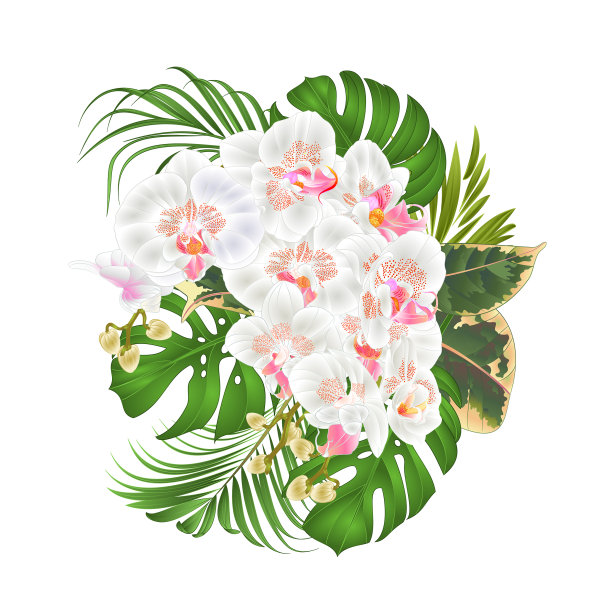 带有热带花卉的花束图片下载