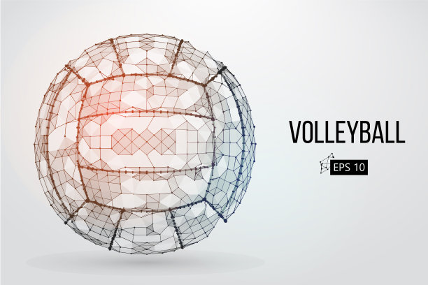 轮廓排球球图片下载
