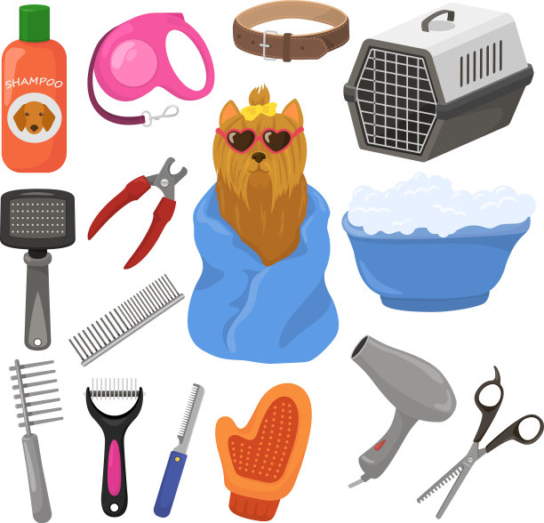 美容宠物狗配件或动物工具图片下载