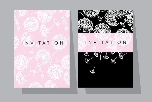 苍白的玫瑰和黑色的蒲公英花图片下载