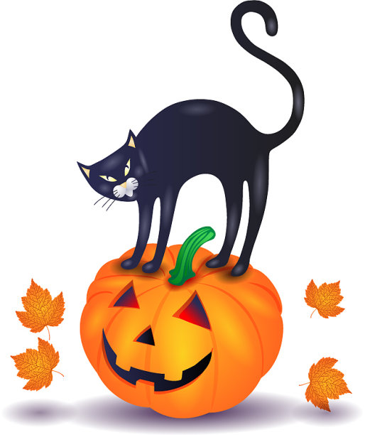 黑猫和南瓜万圣节图片下载
