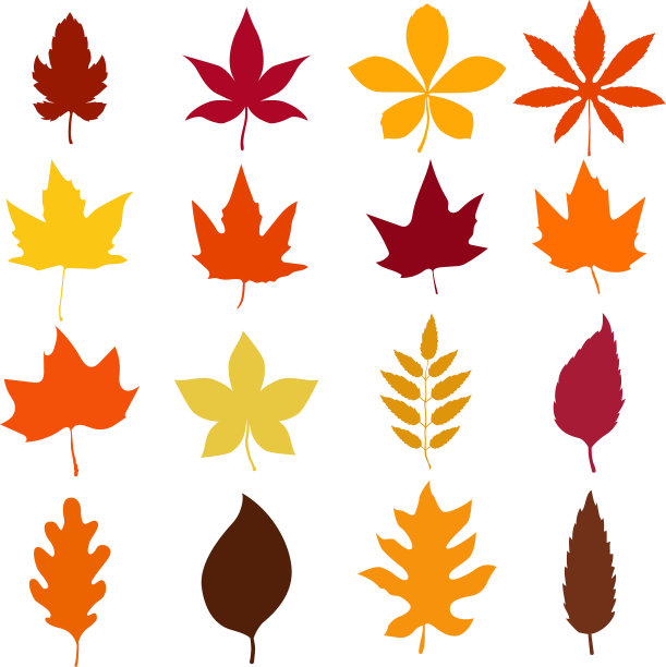 一套秋天的叶子图标孤立在白色图片下载