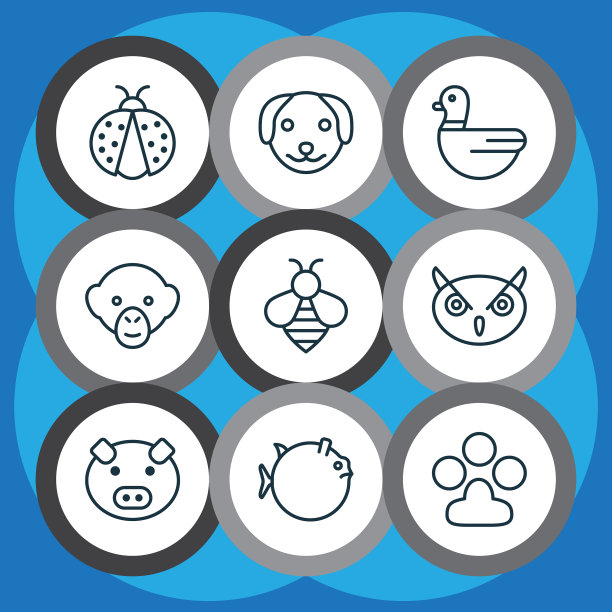 动物园的图标设置有瓢虫、猪、鸭等图片下载