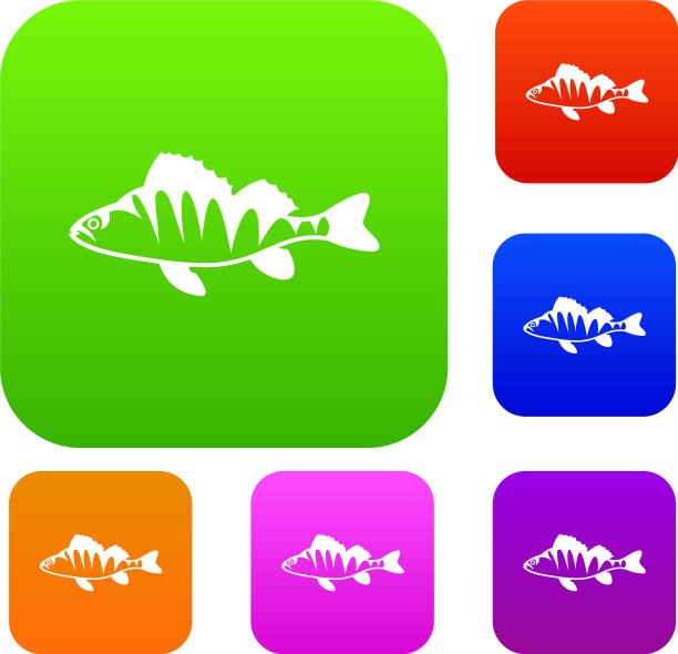 欧洲河鲈鲈集图片下载