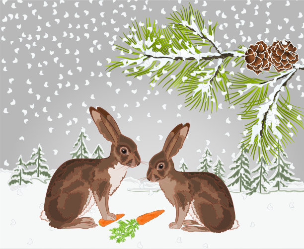 冬季景观森林里有雪的一根树枝图片下载