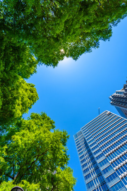 东京的高层建筑。图片下载