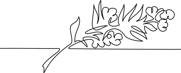 美容香薰植物和花卉线条艺术图片下载