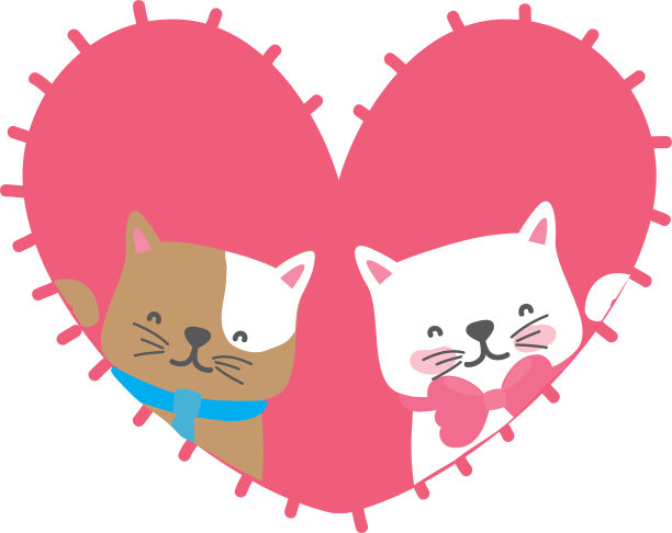 孤立的猫设计图片下载