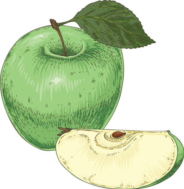 成熟的酸绿苹果和切片图片下载