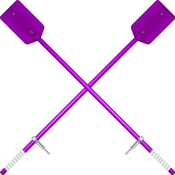 两支交叉的紫色旧桨图片下载