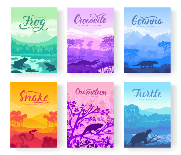 小册子里有各种各样的爬行动物图片下载