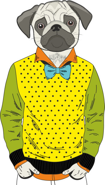 哈巴狗有人体和五颜六色的衣服图片下载