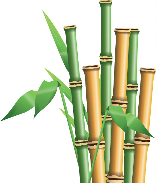 新鲜竹叶边界植物禅林图片下载