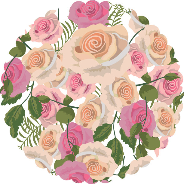 圆形的热带玫瑰植物有叶图片下载