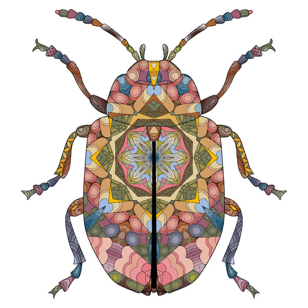 Zentangle风格甲虫手绘装饰图片下载