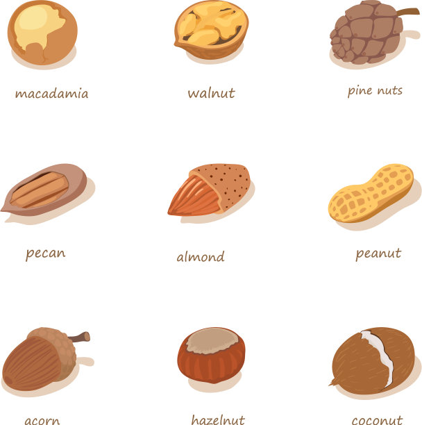 胡桃木图标设置等距风格图片下载