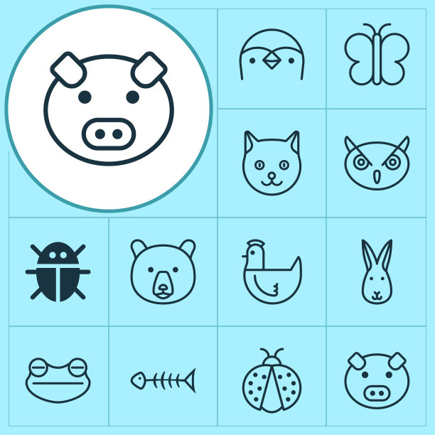 动物图标设置兔，蛾，小猫和图片下载