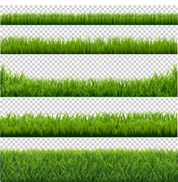 绿草边框设置背景透明图片下载