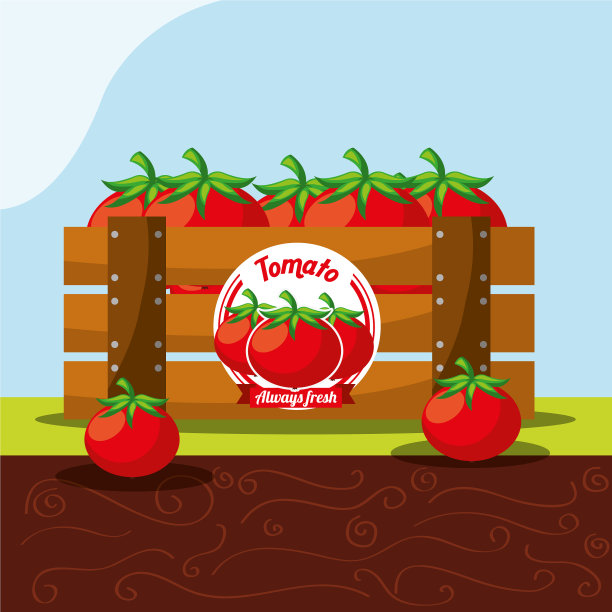 番茄蔬菜在木篮子里总是新鲜的图片下载