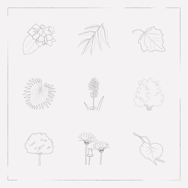 一组自然图标线条样式符号图片下载