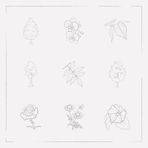 一组自然图标线条样式符号图片下载