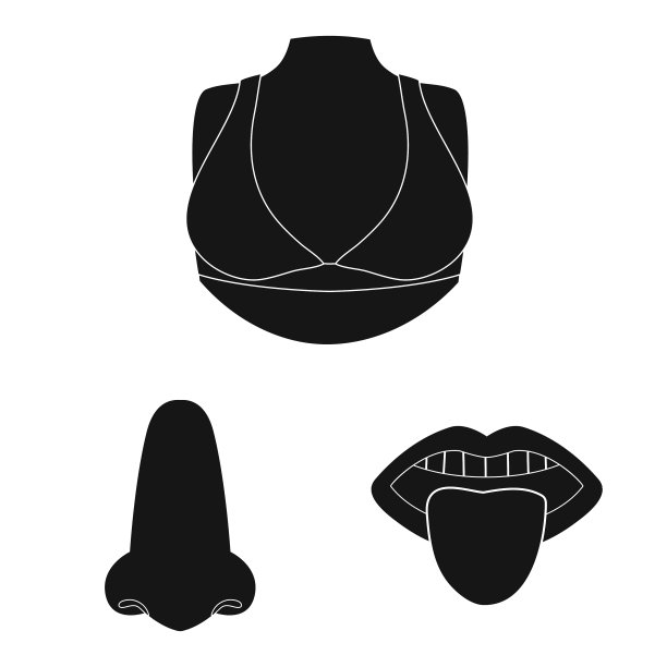 设计车身和零件标识集车身图片下载