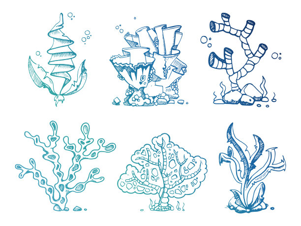 明亮的海藻水下植物图片下载