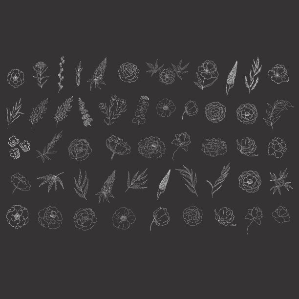 一套花卉设计元素图片下载