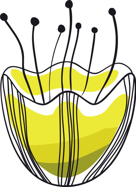 美丽的玫瑰花装饰图片下载