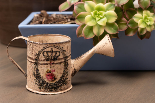 近景的一个小喷壶与复古装饰图片下载