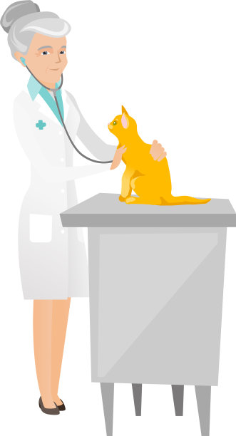 年长白种人兽医检查猫图片下载