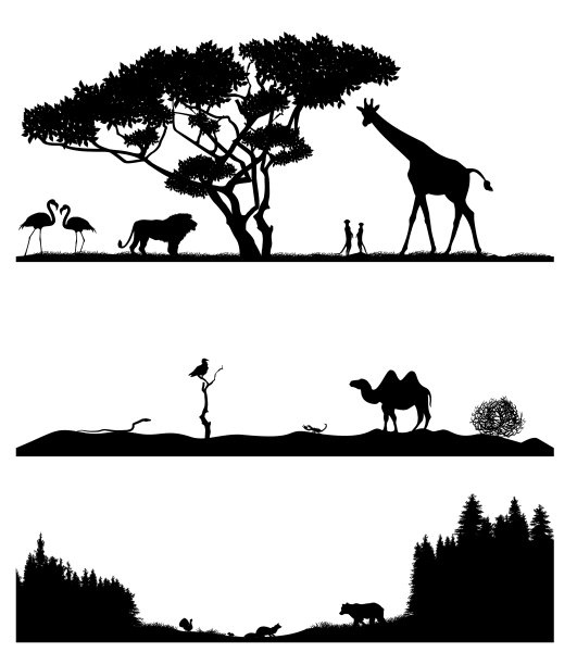 针叶林沙漠和大草原图片下载