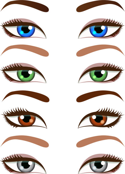 一套卡通美女的眼睛和眉毛图片下载